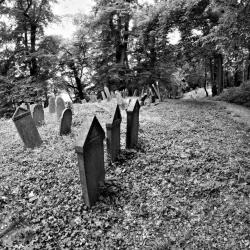 Marcin Michalski - fotografia 1