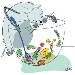 Świerczynska-Kaczor ilustracja 4