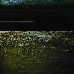 Iluzje i pejzaże - wystawa fotografii Antoniego Myśliwca 23