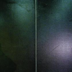 Iluzje i pejzaże - wystawa fotografii Antoniego Myśliwca 40