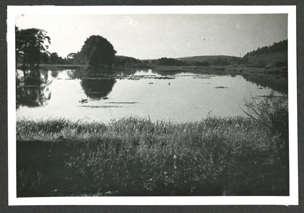 Świętokrzyskie, staw