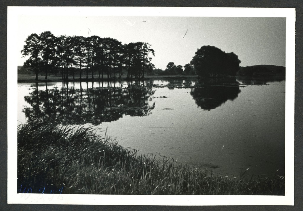 Świętokrzyskie, staw